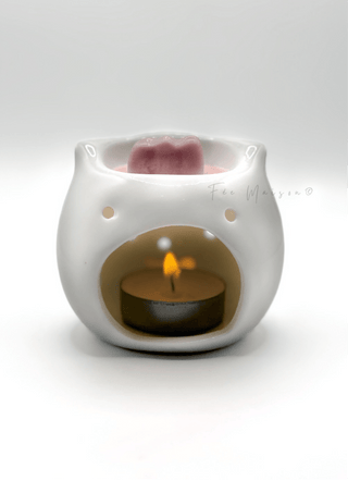 Brûle - parfum petite chouette - Fee maison