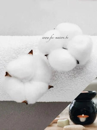 Fondants Clean cotton - Fee maison