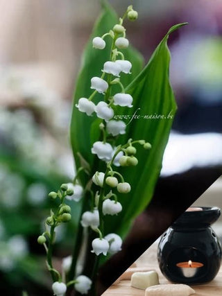 Fondants Muguet - 1,50 €/pc à partir de 2 - Fee maison