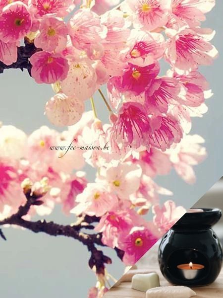 Fleur de Cerisier
