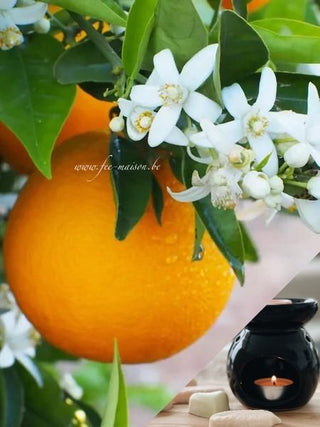 Fleur d'oranger - Fee maison